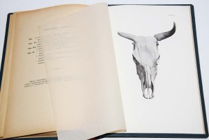 KLECKI Waleryan - Studya nad morfologią, własności użytkowemi i pochodzenie bydła rogatego Bretanii. Cracow 1898.