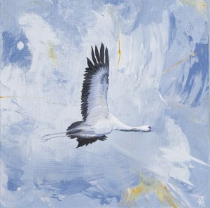 Joanna Półkośnik (b. 1981), 
