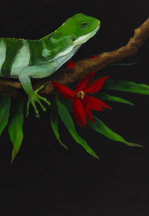 Aleksandra Kwapiszewska (b. 1989, Lodz), 