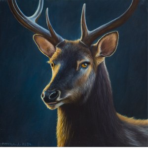 Kornel Mierzejewski (ur. 1997, Toruń), elk_02, 2024