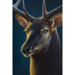Kornel Mierzejewski (ur. 1997, Toruń), elk_02, 2024