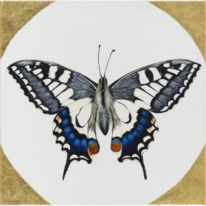 Karolina Marcol (ur. 1984, Wodzisław Śląski), Paź królowej z cyklu Butterfly by Caro, 2020