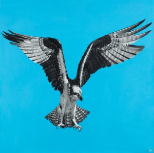 Joanna Ambrozik (b. 1994, Rawa Mazowiecka), 