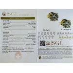 ORECCHINI IN ORO 1,00 GR - ER50704