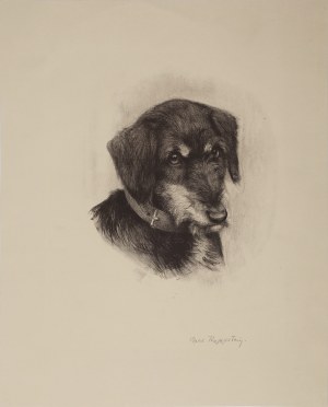 Carl KAPPSTEIN (1869-1933), Rough-haired Dachshund, early 20th century.