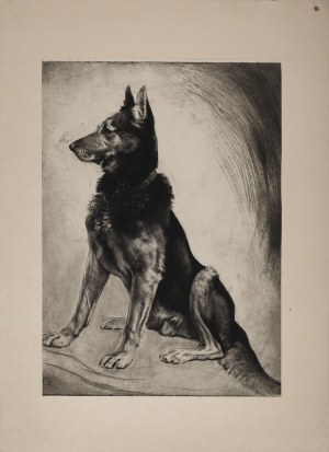 UNKNOWN artist (19th / 20th century), German Shepherd, 1920s - 1930s.
