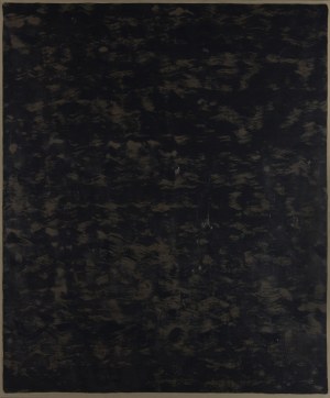Jaroslaw RADEL (born 1973), 44/17, 2017