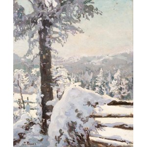 Iwan Trusz (1869 Wysocko - 1940 Lwów), Zima w Karpatach