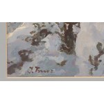 Iwan Trusz (1869 Wysocko - 1940 Lwów), Zima w Karpatach