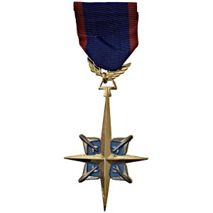 Orders and Decorations - Vietnam (1957-1975). Distintivo di servizio dell'A...