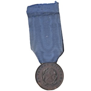 Italian Medals - Repubblica Italiana. Medaglia di bronzo al valore ...