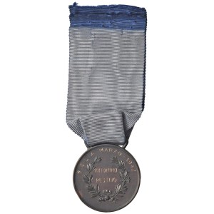Italian Medals - Repubblica Italiana. Medaglia di bronzo al valore ...