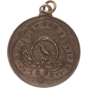 silver medal, Karlsbrücke-Renovient and Wiederöffnet, 24mm, 1892