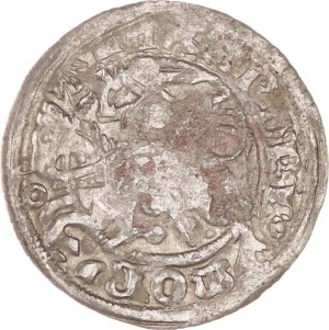 Alexander(1492-1506), ½ groschen, Vilnius, Mint error,