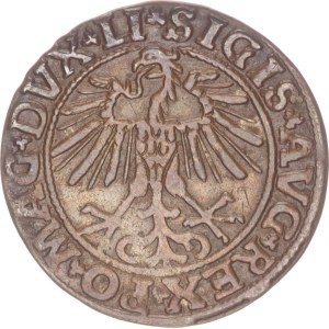 Sigismund II. August, ½ groschen, Vilnius,1550