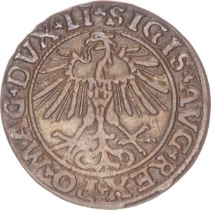 Sigismund II. August, ½ groschen, Vilnius,1550