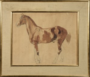 Piotr MICHAŁOWSKI (1800-1855), Study of the Horse