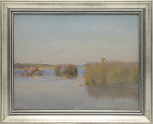 Stanislaw STRASZKIEWICZ (1870-1925), Reeds