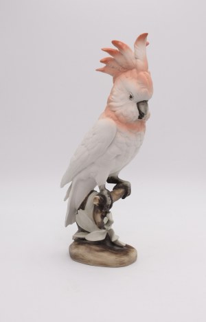 ROYAL DUX BOHEMIA, Cockatoo parrot on a branch