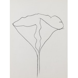 Ellsworth Kelly (1923 - 2015), Lotus, 1972