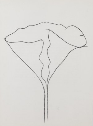 Ellsworth Kelly (1923 - 2015), 