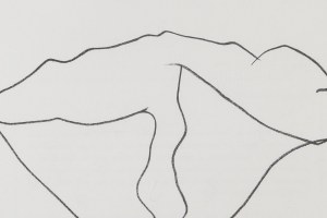 Ellsworth Kelly (1923 - 2015), 