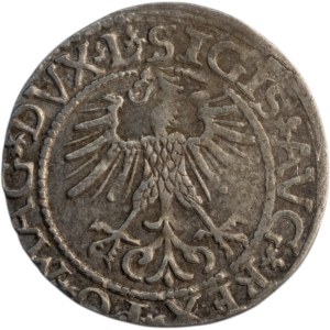 Poland 1561 Półgrosz 1/2 Grosz, Wilno Mint