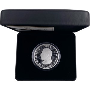 Canada 2024 $30 Magic of the Northern Lights Pure Silver Coin