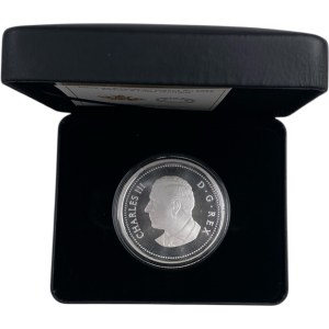 Canada 2025 5 Cent Multilayered Beaver Pure Silver Coin