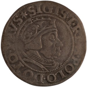 Poland 1537 Danzig Silver Grosz Sigismund I