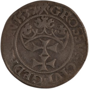 Poland 1537 Danzig Silver Grosz Sigismund I