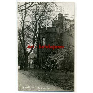 Szprotawa - Sprottau - Promenada