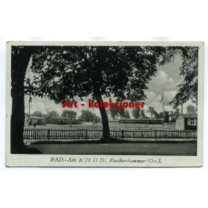 Kuźnica Raciborska - Ratiborhammer - Obóz RAD