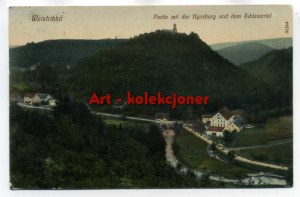 Zagórze Śląskie - Kynau - General view