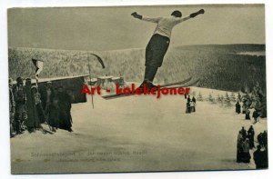 Giant Mountains - Riesengebirge - Winter sports - Chalet.