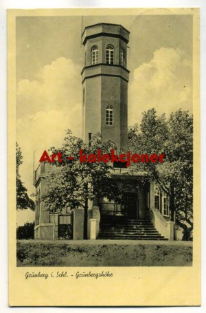 Zielona Góra - Grunberg - Grunbergshohe