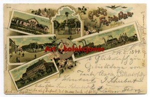 Gozdnica - Freiwaldau - Lithography