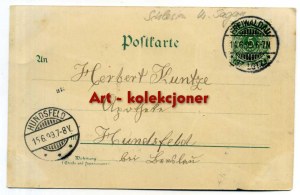 Gozdnica - Freiwaldau - Lithography