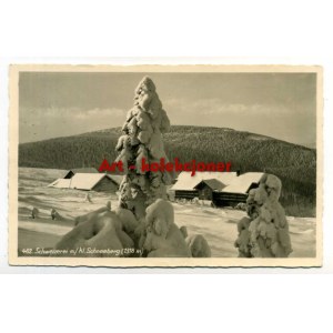 Śnieżnik - Schneeberg - Schronisko