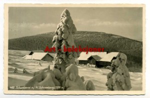 Snieznik - Schneeberg - Shelter
