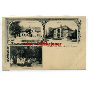 Piotrowice - Petersdorf gm.Chojnów - Palace...