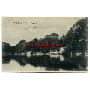 Wolsztyn - Wollstein - Partie nad jeziorem