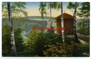 Forest - Marklisa - Viewpoint