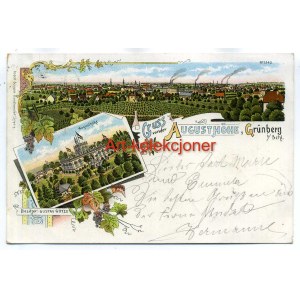 Zielona Góra - Grunberg - Augusthohe - Litografia