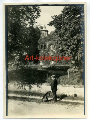Stanica - Haltauf gm.Przeworno - Palace - Foto