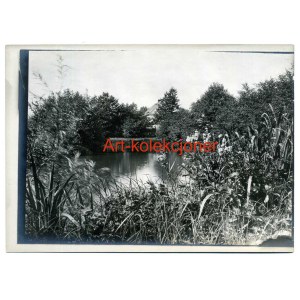 Stanica - Haltauf gm.Przeworno - Teren pałacowy