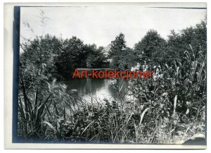 Stanica - Haltauf gm.Przeworno - Palace grounds