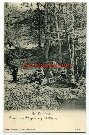 Elblag - Elbing - Forest lots