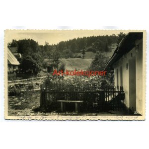 Przesieka - Hain - Fotograficzna
