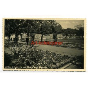 Iłowa - Halbau - Park - Fotograficzna
